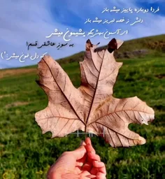 کاش فرشته ای هم بود و آدم ها را