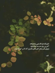 #عکس_نوشته