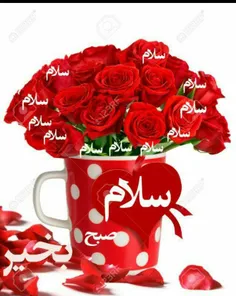 صبحی دیگر آغاز شد🌺 