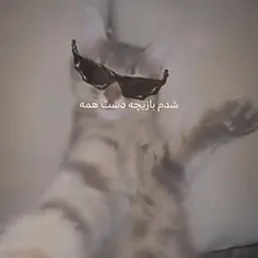 عه ویدیو های من پخش شدددد