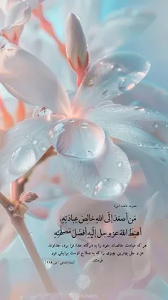 حضرت فاطمه (س):