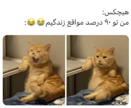 بشتابید ، بشتابید،، 😐