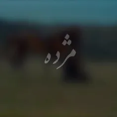 هشت مارس روز جهانی زن ❤️🍃