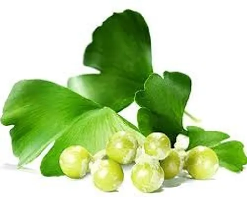 داروی گیاهی اول جینکو بیلوبا ( ginkgo biloba) خواص: