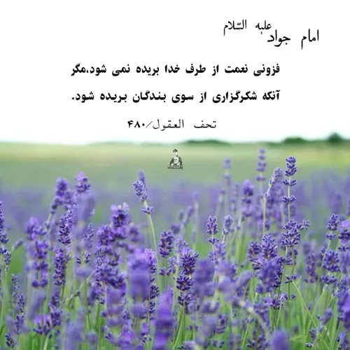 امام جواد علیه السلام: