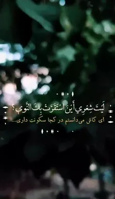 امام زمانم