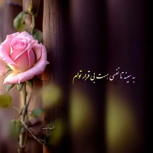 به سینه تا نفسی هست بی قرار توام 💐