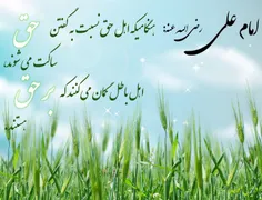 سخنی بزرگ از امام علی (ع)