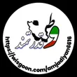 amjadiyan6616