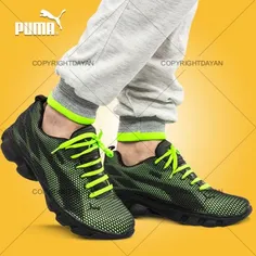 کفش مردانه Puma
