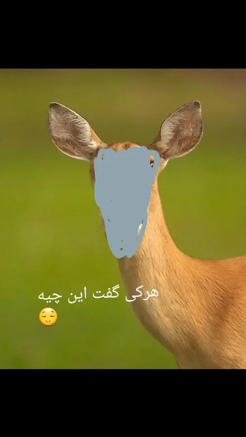 چیه؟؟؟؟؟؟