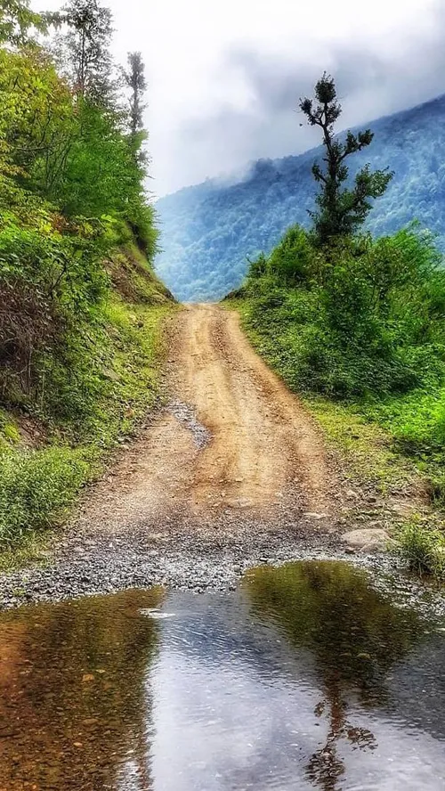 ایران زیبا طبیعت گیلان