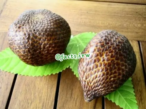 میوه ی مار "Snake Fruit" در اندونزی می روید پوستی شبیه به