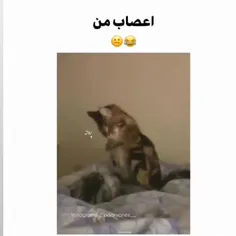 مود من وقتی بچه فامیل میاد خونمون :☝️😂