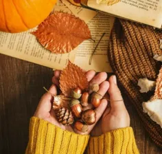 🍂دور افتاده ام...