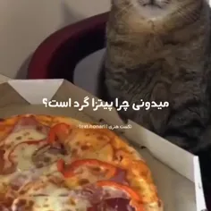 چرا پیتزا گرده🤣😂😭😅😨من که تا الان نمی دونستم !شما چی)🤔