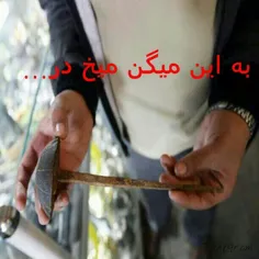 از سادات عذر میخوام.