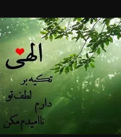 گوناگون mehdi.kh237 21773010