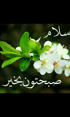 عاشقانه ها hosein.sheikhy 16890672