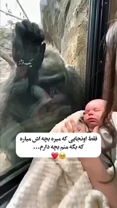 فقط ماچ و موچ هایی که از طفلش میکنه 🥹😅❤️