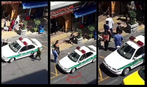 📸 روایت یک شاهد از رفتار خشن زن جوان با خودروی پلیس: