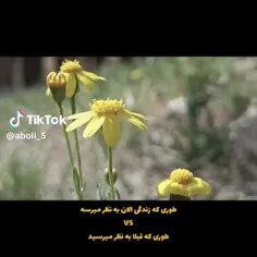 دنیا زیباست اما نه به اندازه ی قبل: