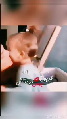 منم نی نی می خوام🥰😍💋