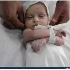 شهید نوزاد غزه