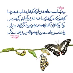 #حدیث #امیرالمومنین_علی_بن_ابیطالب علیه السلام