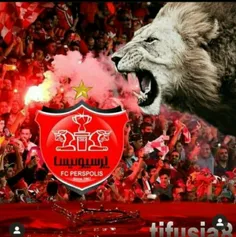 پرسپولیس عشق است