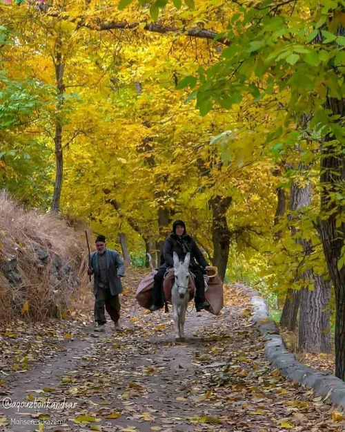 میروم تا سر کنم شب را سحر