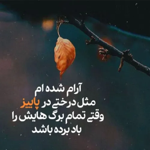 عشق را زمانی چشیده ام ک مگو و مپرس