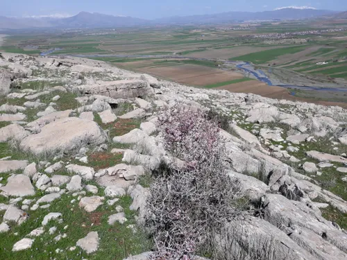 جای همه سبزامروز رفتم کوه با خانواده