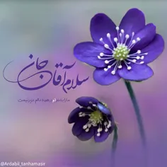 #سلام_امام_زمانم💚