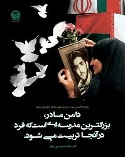 شهدا martyr.darabpour 33570025 - عکس ویسگون