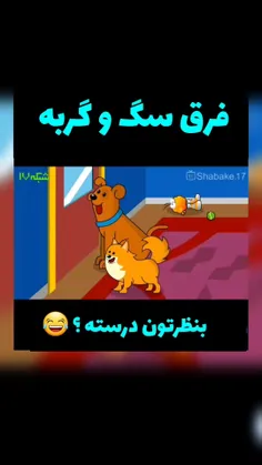 فرق سگ و گربه 🤣🤣