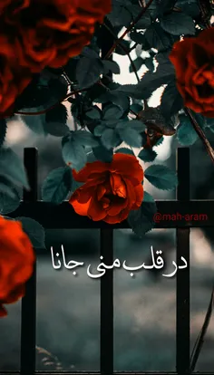 تصاویر پس زمینه mah-aram 25998035