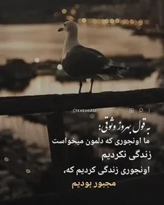 کپی به شرط فالو 🙂💖