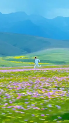 ✨زندگی را باید زندگی کرد 👌