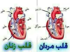 بدون شرح