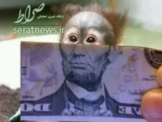 #خلاقیت‌های_جالب_با_اسکناس💵 😜 