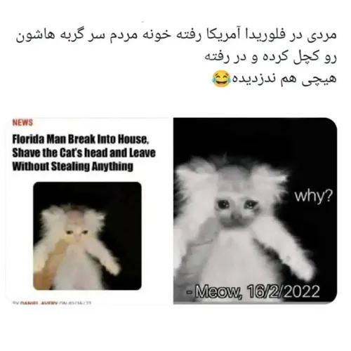  tikxtok 40328761 - عکس ویسگون