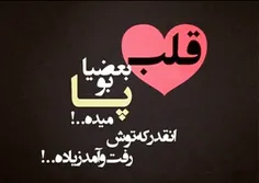 قلب بعضیا بو پا میده . . . !