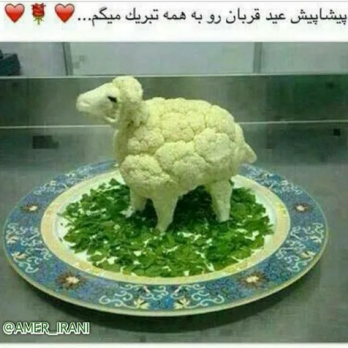 عید همه عزیزان مبارک