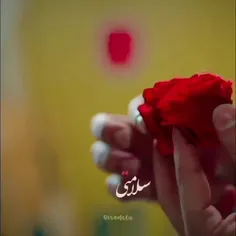 خواهران و برادرانم 🙂💋