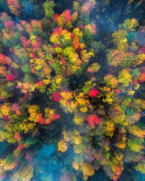 تصویری زیبا از جنگلهای شمال شرقی آمریکا در پاییز