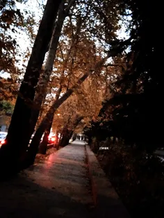 خیابون دور و بر کاخ سعد آباد دقیقا همون حس و حال پاییزی ب