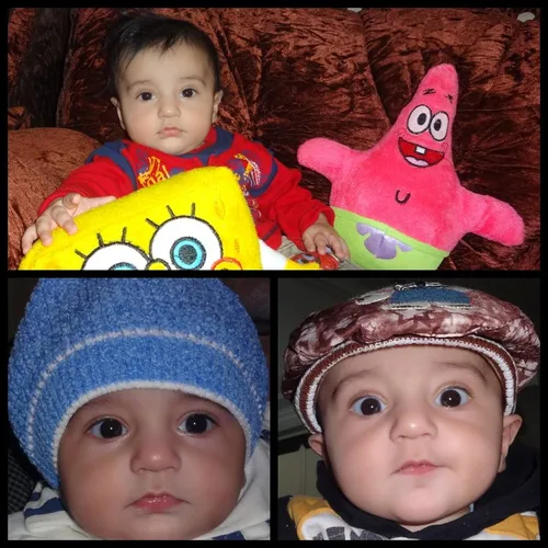 araz