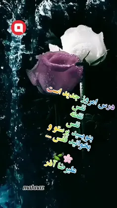 #عاشقانه_خاص