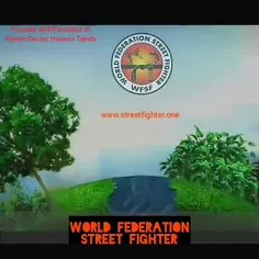 World Federation Street Fighter (W.F.S.F)